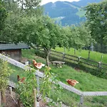Deml Flachau