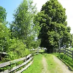 Deml Flachau
