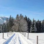 Deml Flachau