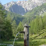 Deml Flachau