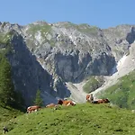 Appartamento Deml Flachau
