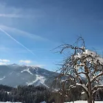 Appartamento Deml Flachau