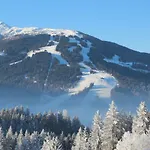 Appartamento Deml Flachau