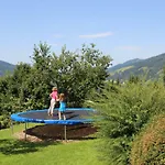 Appartement Deml Flachau