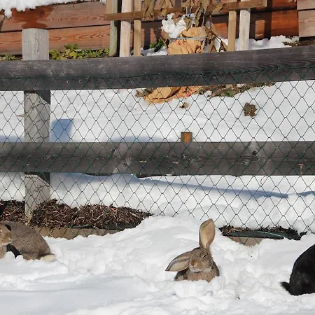 Deml Apartmán Flachau