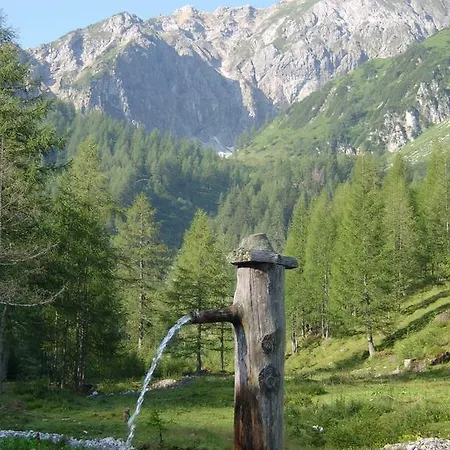 Deml Flachau
