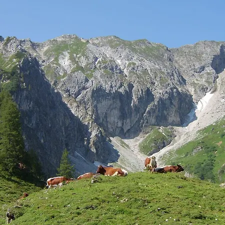 Apartmán Deml Flachau