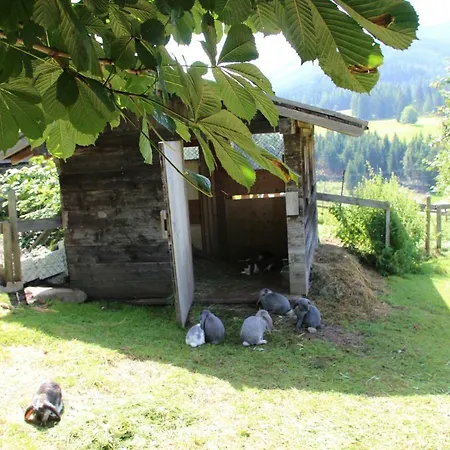 Apartamento Deml Flachau