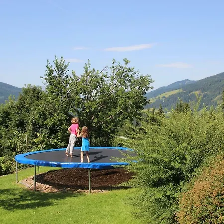 Apartamento Deml Flachau