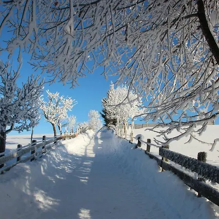 Deml Apartmán Flachau