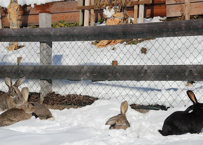 Deml Apartament Flachau