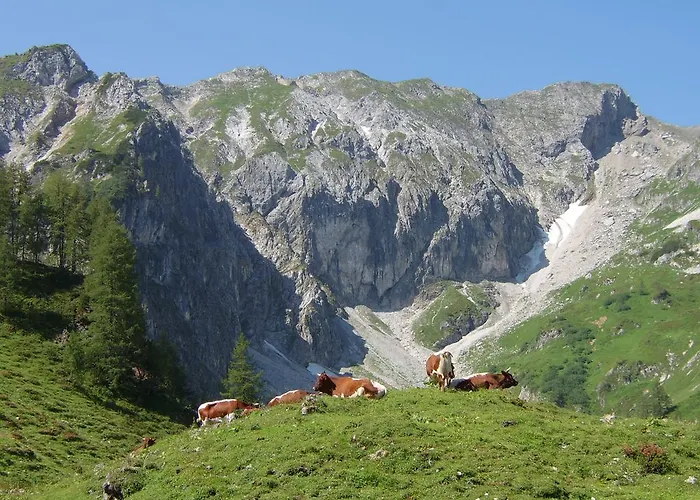 Apartment Deml Flachau