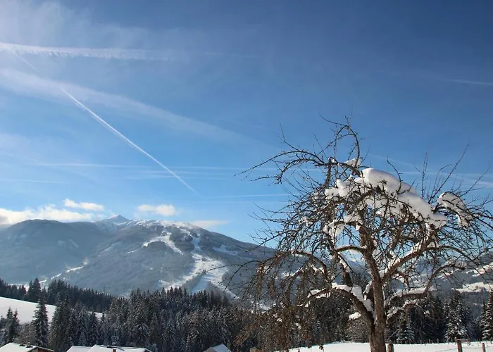 Apartament Deml Flachau