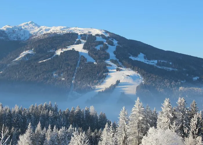 Apartament Deml Flachau