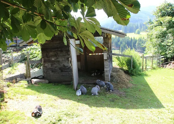 Apartament Deml Flachau