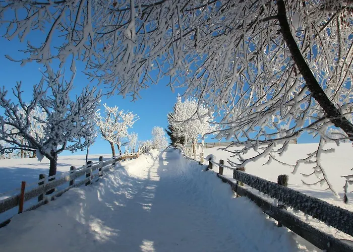 Deml 아파트 플라차우